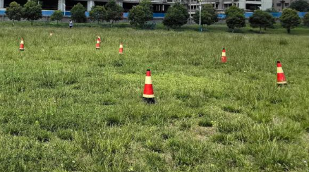 1752653865436192.png image.png